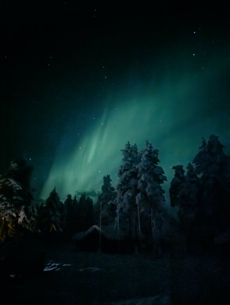 フィンランドのサーリセルカのスキー場。街中から徒歩で行けるし、果てしなく絶景続いてるし、人はほとんどおらんからスキーもスノボも滑り放題やし、全長2キロのそりのコースあるし、グッズレンタルとリフトで100ユーロくらいと北欧にしては良心的やし、なんなら夜はオーロラ見れるから超おすすめ。