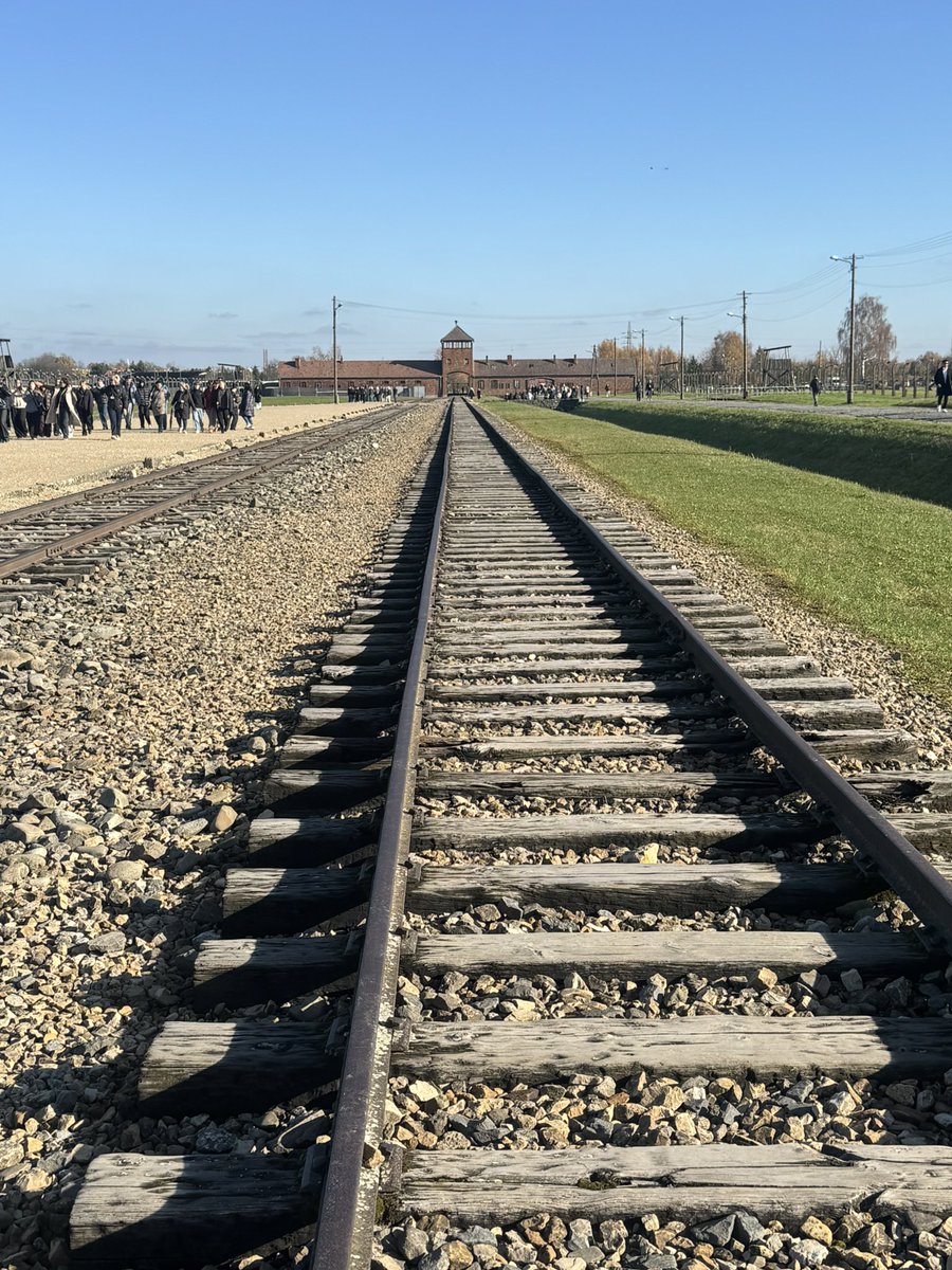 ShannonSeban's tweet image. En ce 27 janvier, journée internationale de commémoration en mémoire des victimes de l’Holocauste, nous commémorons la libération du camp d’Auschwitz-Birkenau en 1945, lieu devenu symbole de l’horreur absolue.

Nous rendons hommage aux 6 millions de Juifs assassinés, ainsi qu’aux…
