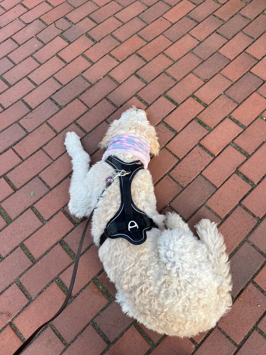 Matze (@matthiasboche) on Twitter photo 