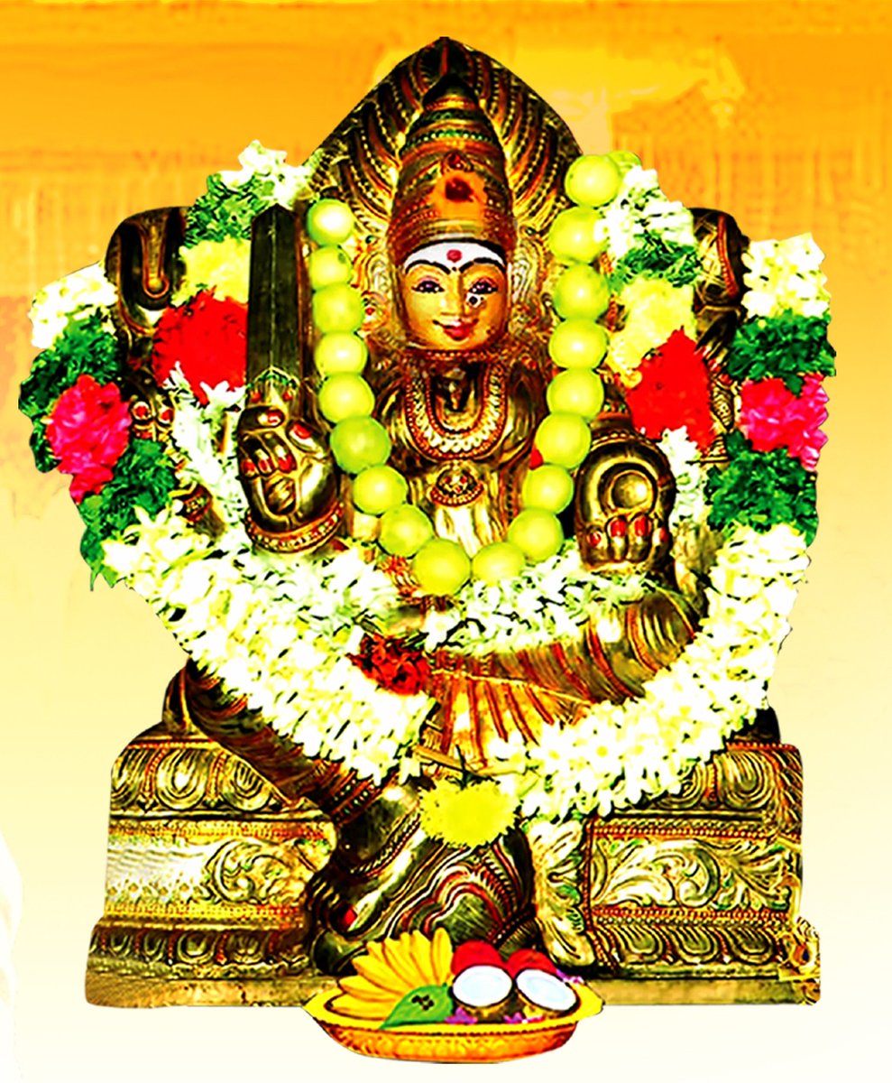 Pradeep kumar tweet media