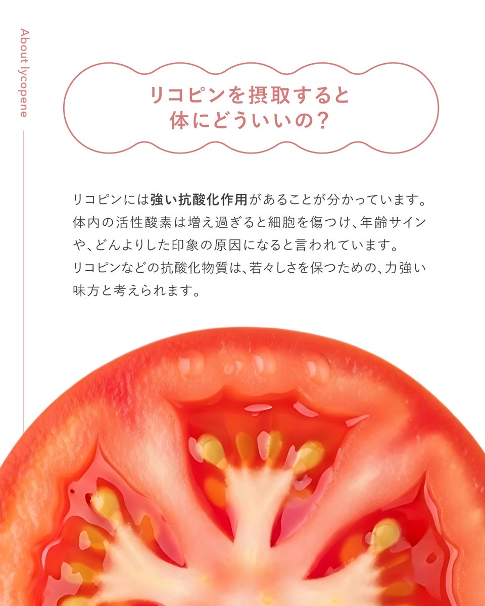 FUJIMI（フジミ）公式 tweet media