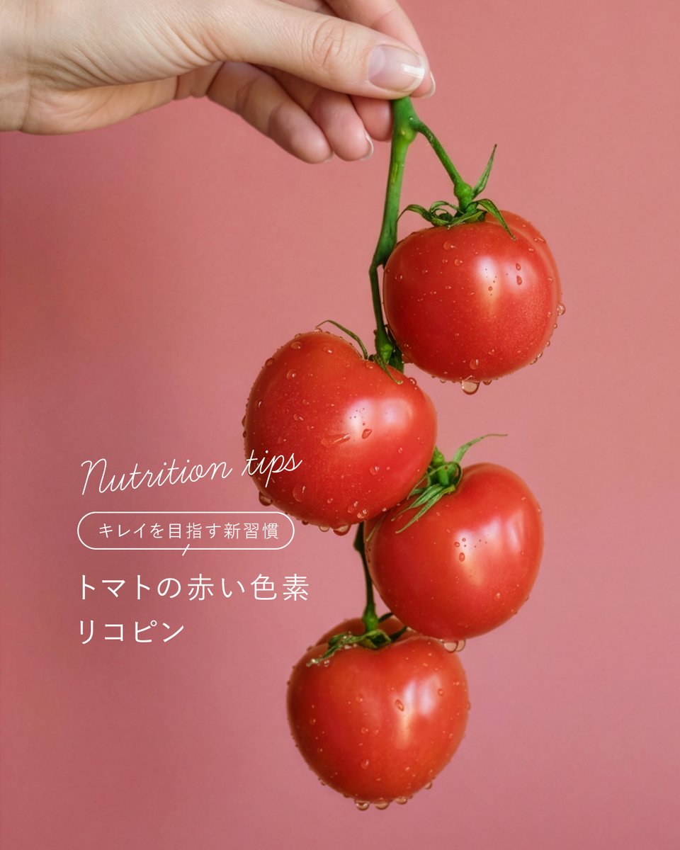 FUJIMI（フジミ）公式 tweet media