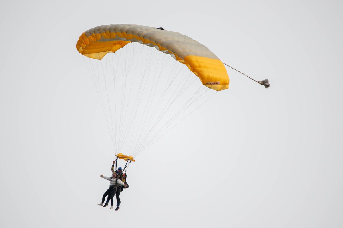 Team Solan tweet media