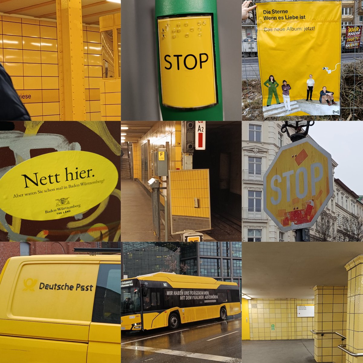 mars mims tweet media