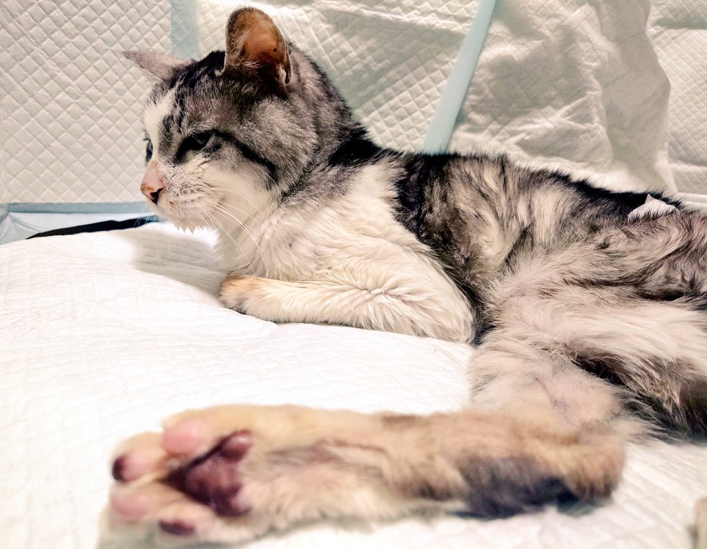 🍉リオ🍉🍉🍉🍉🍉 (@lio_lio_22) / Posts / X