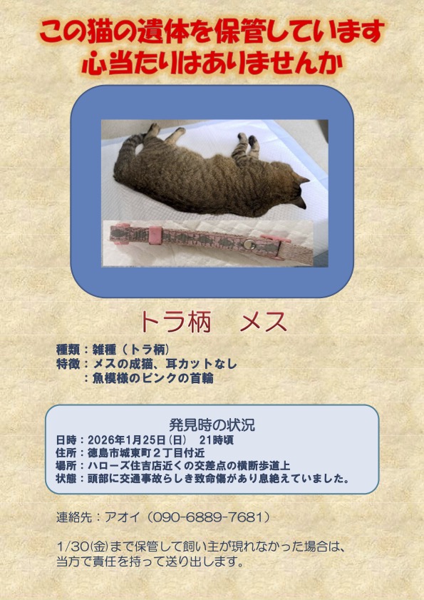 【拡散希望・誰の猫ですか？】
日曜日、徳島市で交通事故に遭った猫です。
知り合いのボランティアさんが放っておけず保護しました。
首輪があるのでどこかのお家の猫です。
飼い主さん、きっと探してるよね？
連絡してください。