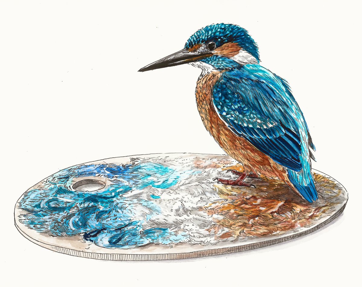 Bas Geeraets 🦉 tweet media