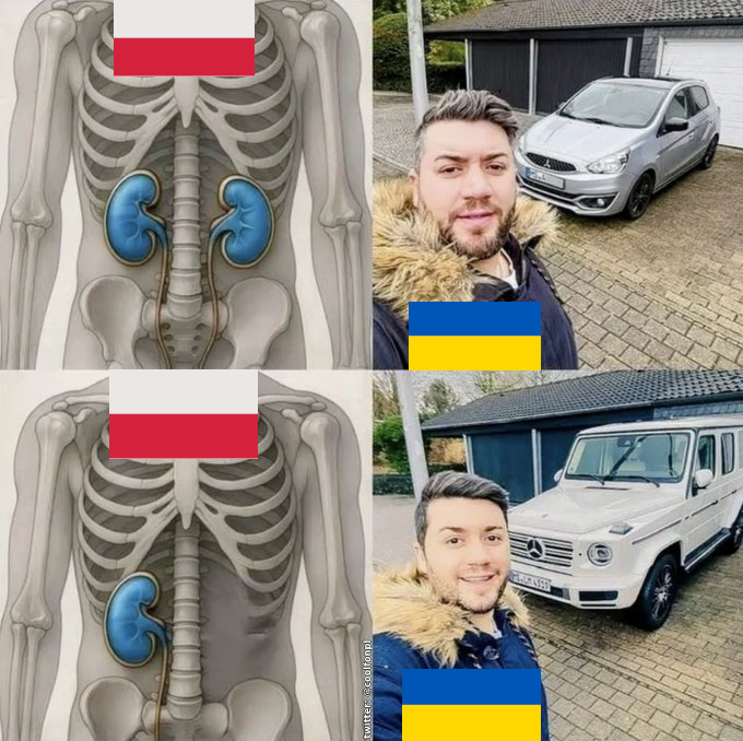 coolfonpl 🇵🇱 tweet media