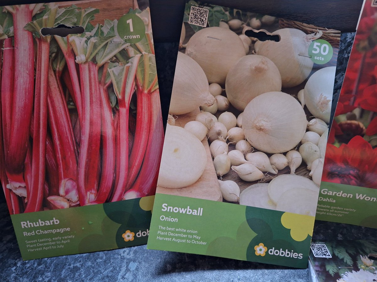 BloodyPolitics's tweet image. Dug over some soil in my veg plot yesterday to plant onions and rhubarb today, but it's just a bit flooded. Bugger. #StormChandra 🤦‍♀️