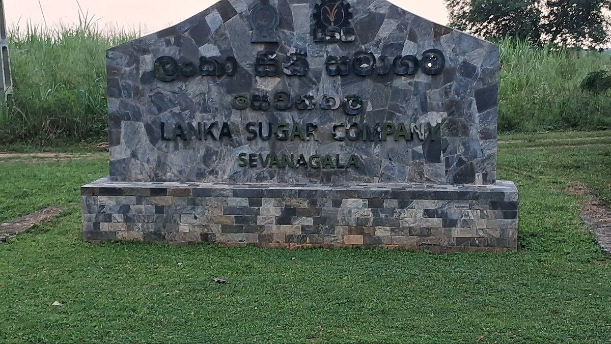 💖🌻SP🌻💖🇱🇰 tweet media