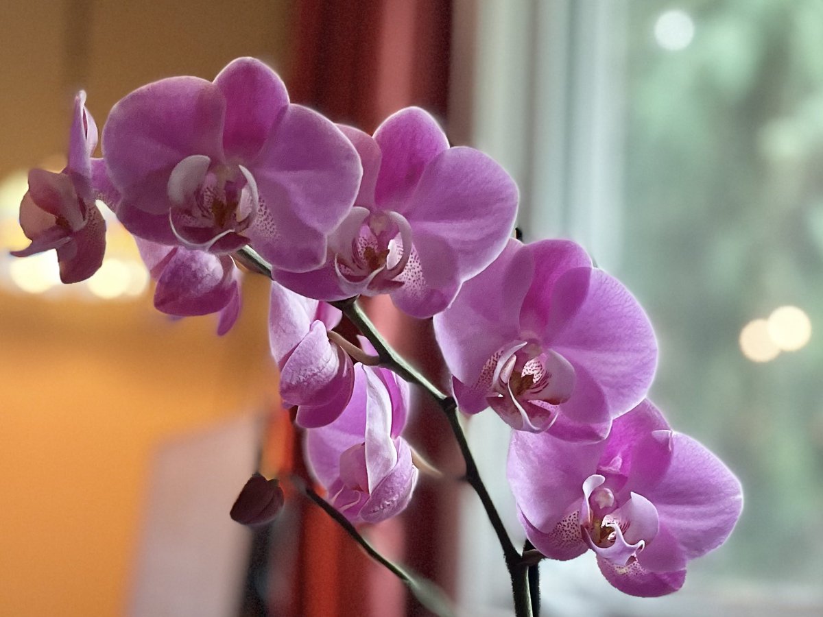 Ian Black tweet media