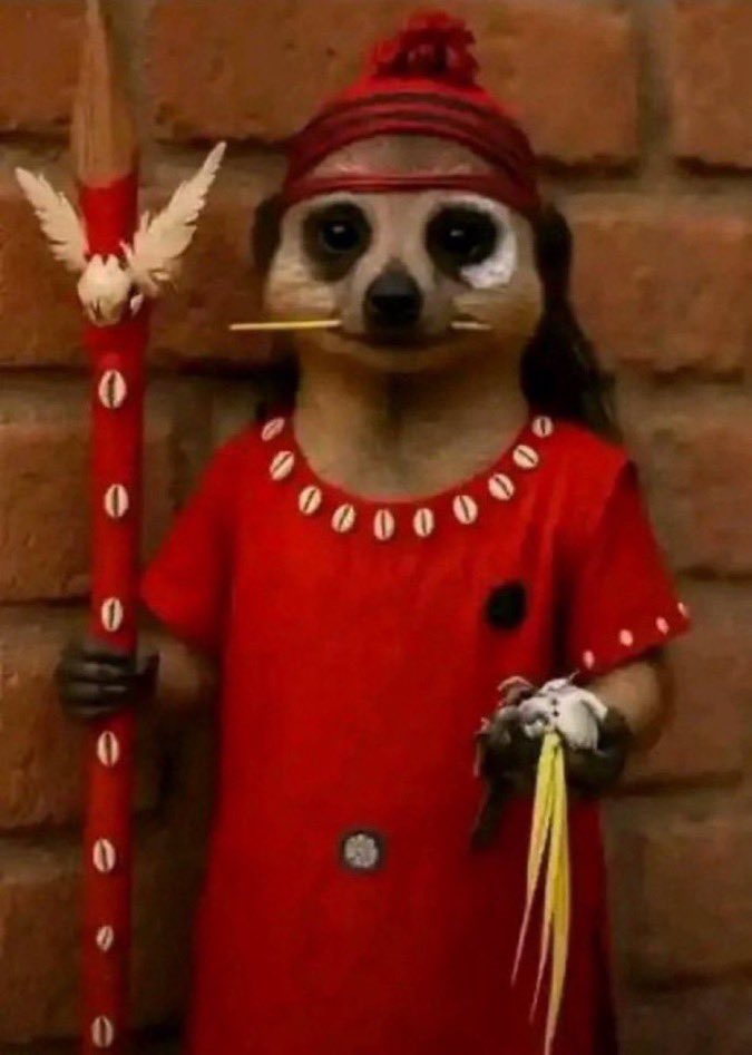 Samuelmart3ns's tweet image. Since two days I never get reach 10mutuals Abi mk I use juju?😡🤧