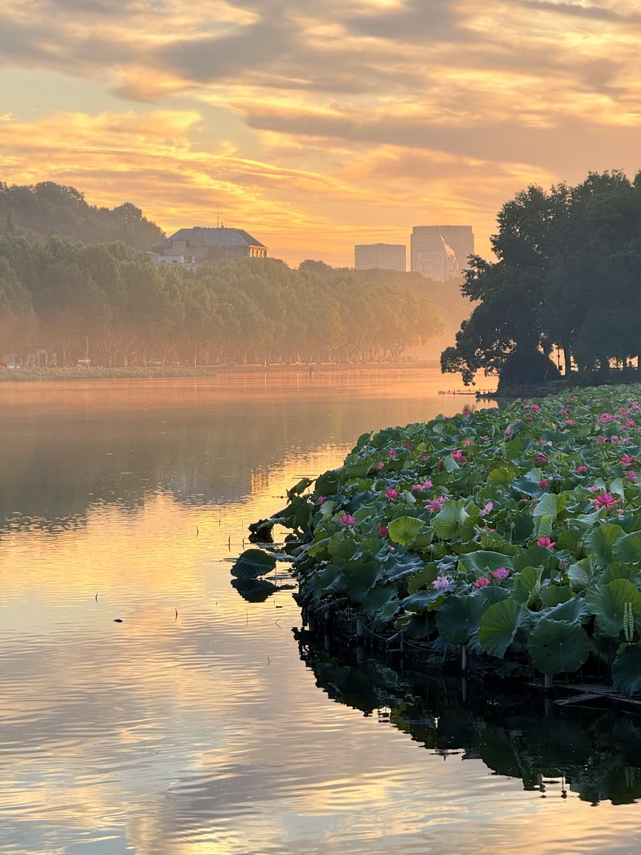 rish990's tweet image. 四点起床看了西湖的日出🌅
