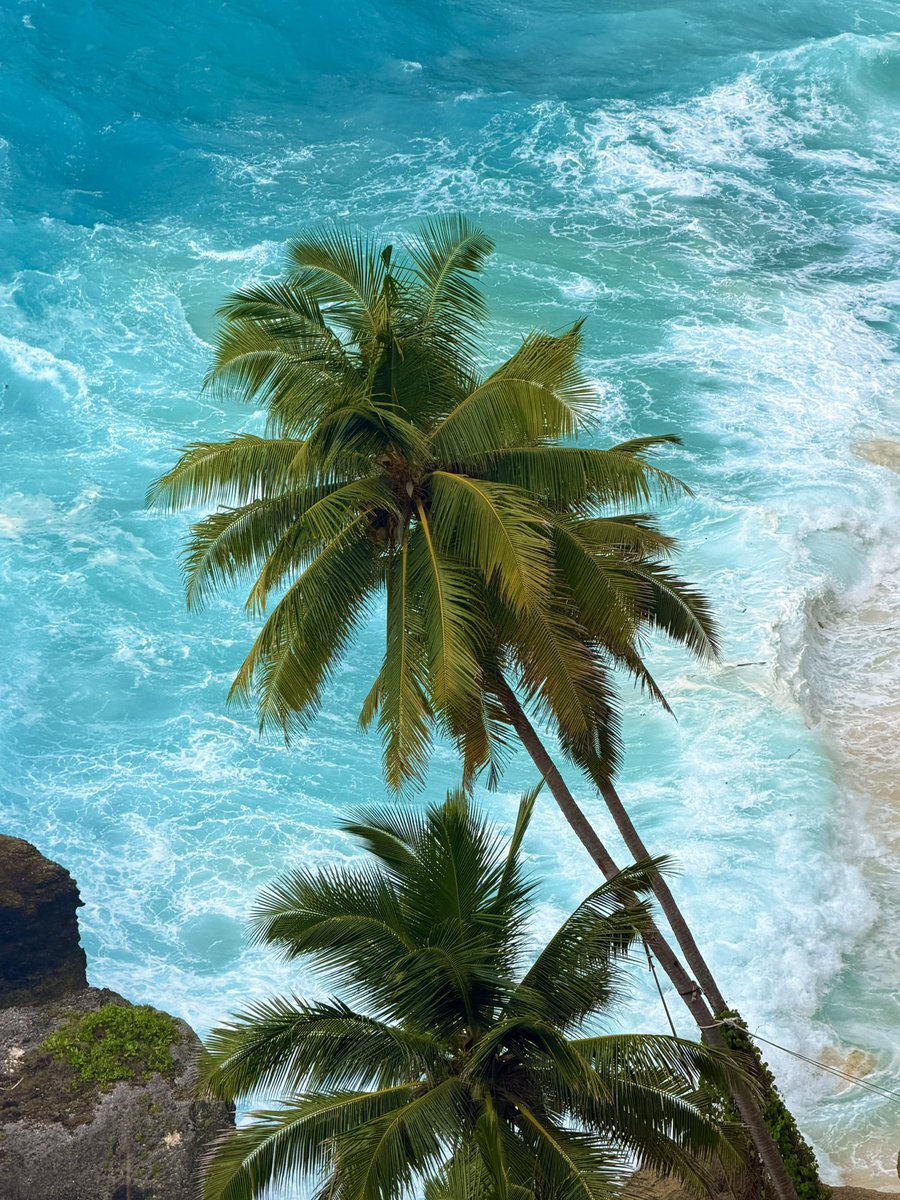 Life is a journey, and it's the difficult roads that often lead us to the most beautiful destinations. Embrace the struggles and challenges.