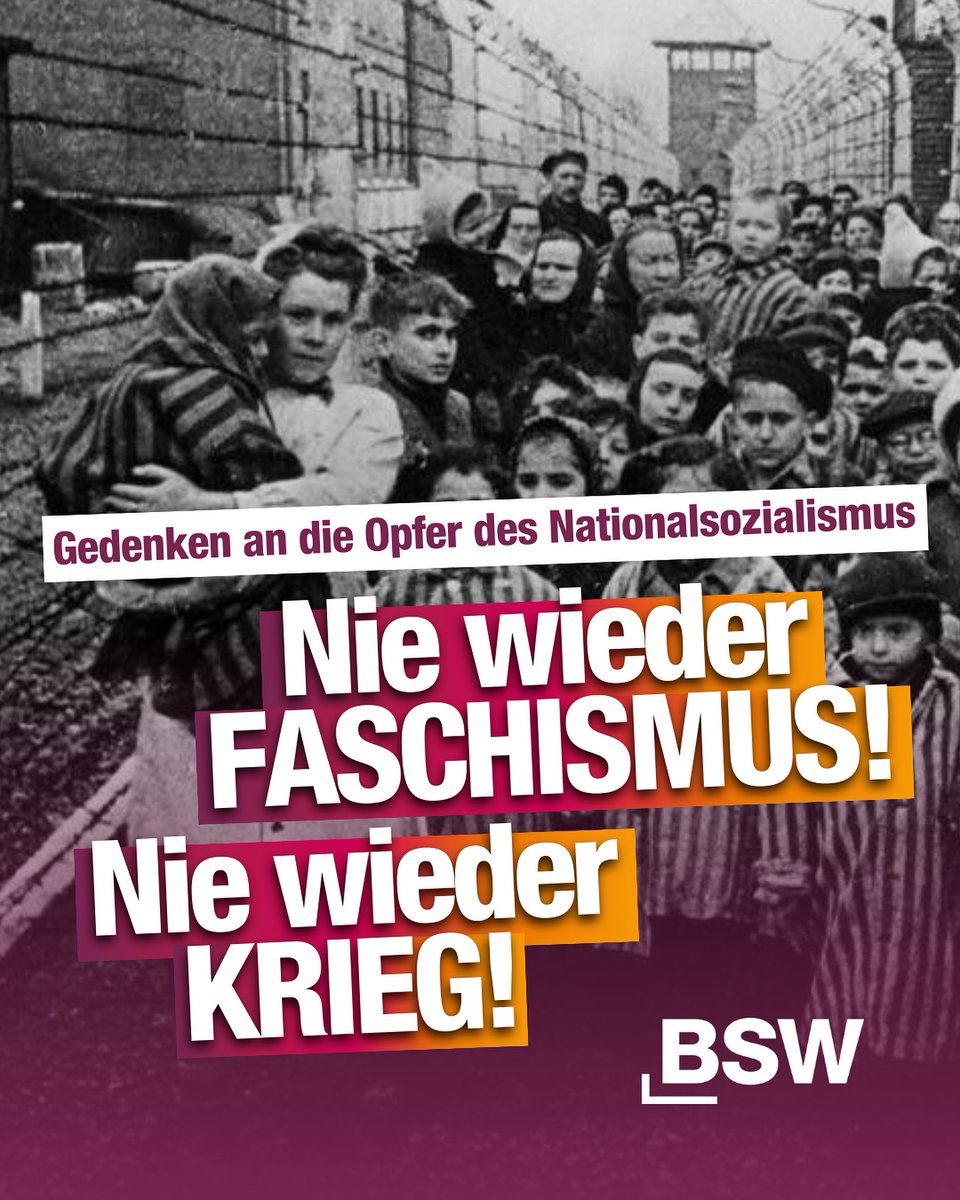 BSW Köln 🇩🇪 tweet media