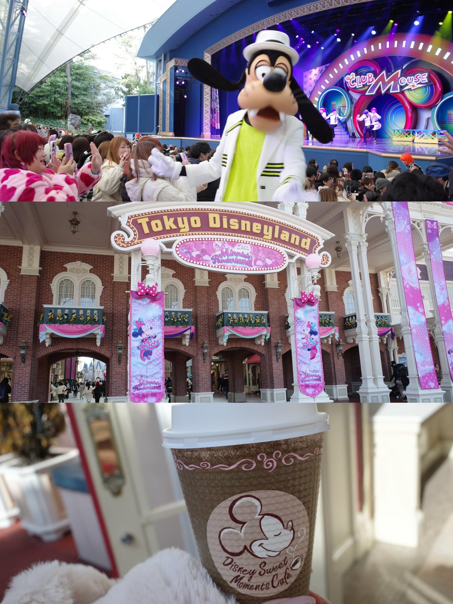 ミニー♫ Disneyland🏰🐭🎀 パーク内がミニーちゃんとピンクで埋め尽くされてた♡♡