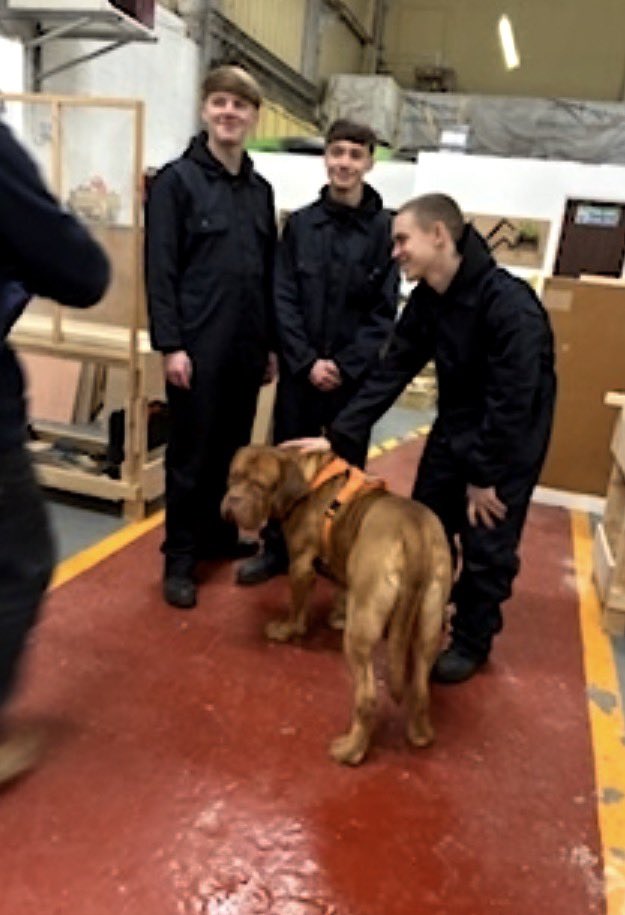 NLC Pathways Programme tweet media