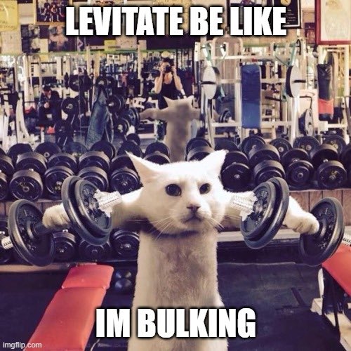 ⭕️ Levitate tweet media