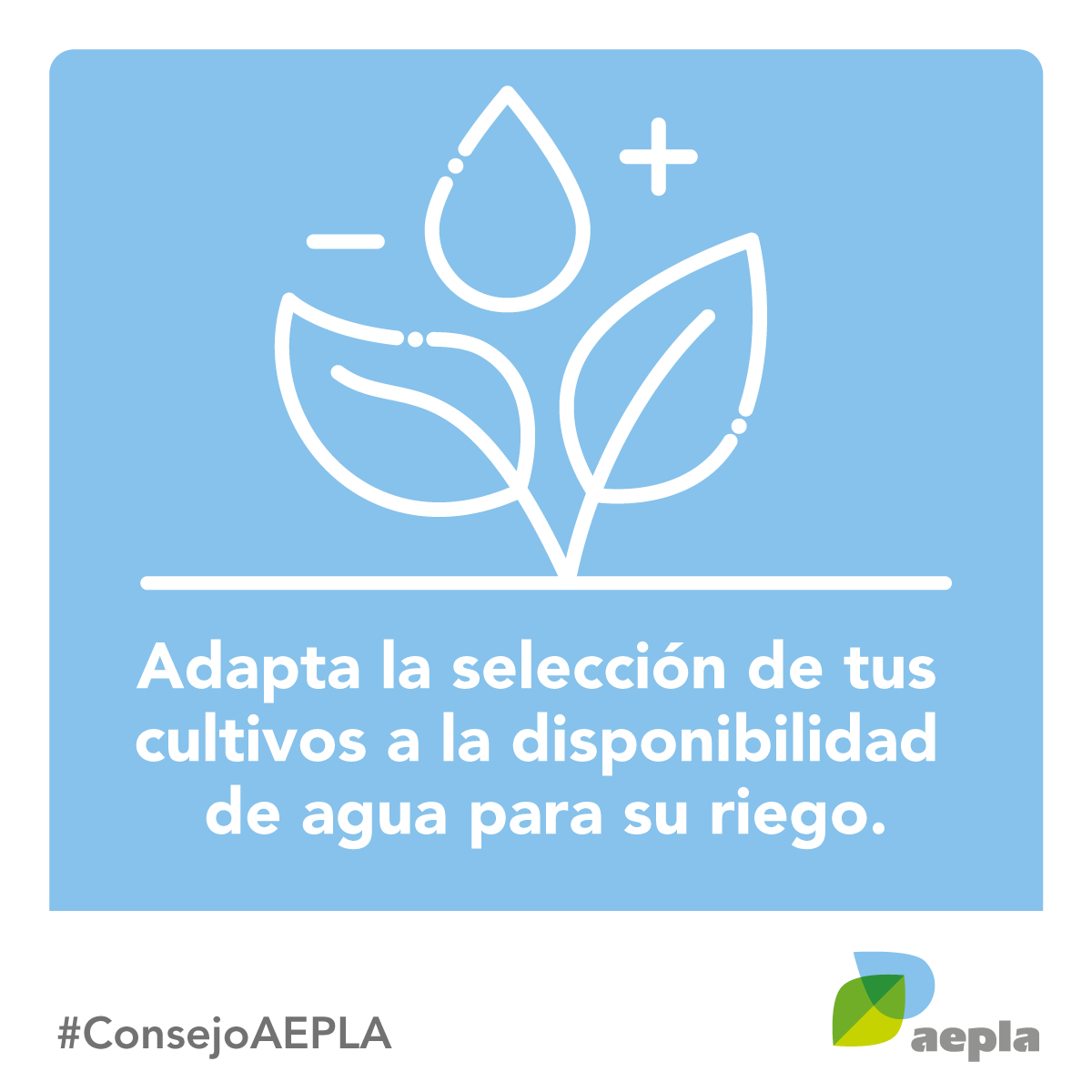 AEPLA tweet media