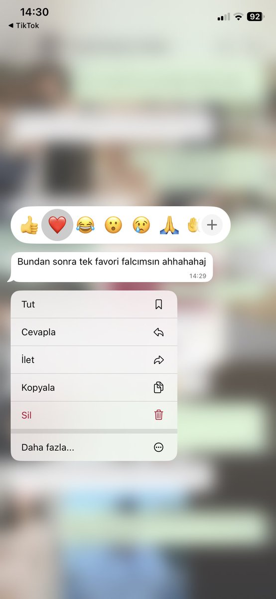 LotusBendis's tweet photo. Sevdiğimiz mesajlar 💖🥹 https://t.co/o3Itp637s0