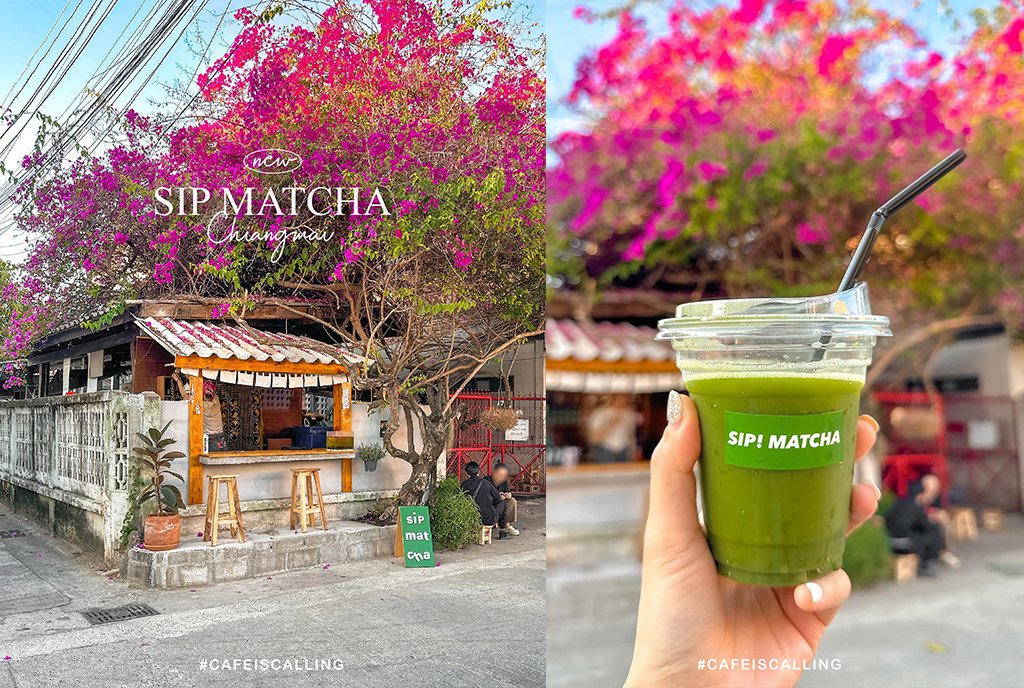 cafeiscalling's tweet photo. 🍵 SIP Matcha  #คาเฟ่ใหม่ ย่านพระสิงห์ เป็นบาร์มัทฉะเล็ก ๆ ใต้ต้นเฟื่องฟ้าสีชมพูที่บานสะพรั่ง ในบรรยากาศเรียบง่ายสบาย ๆ  ที่ร้านมีเมนูเครื่องดื่มให้เลือกไม่มาก หลัก ๆ จะเป็นเมนูมัทฉะ บอกเลยคนรักมัทฉะห้ามพลาด ! #รีวิวเชียงใหม่ #คาเฟ่เชียงใหม่
@aroii https://t.co/qLXnsn0He7