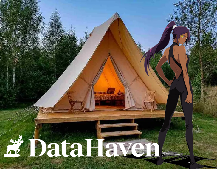 Crystalart9's tweet photo. I just designed my ideal digital shelter: a secure sanctuary for my most important data. 
It represents the peace of mind that comes with true ownership and privacy. 
I have officially uploaded my vision to the @DataHaven_xyz testnet to keep it safe forever https://t.co/fzsSeyQP63