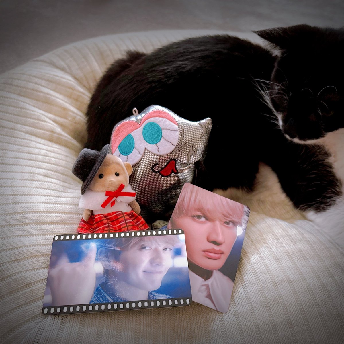 KOTOMO (@10969kotomo) / Posts / X