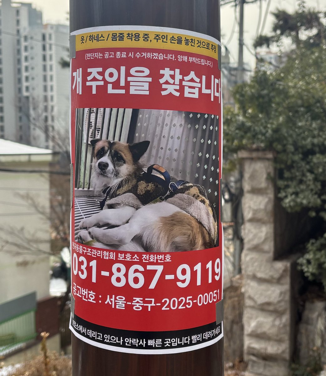 강아지 주인 찾는대요!!!!
031-867-9119
공고번호 : 서울-중구-2025-00051