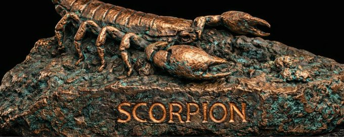 shinoonasam's tweet photo. OMG

Narrative is insane 

People are not aware of this yet.

WITHOUT THIS SCORPION, THERE WOULD BE NO COPPER INU.

BKzwRxsbm5ks3Dbtm4CwEURbHZHFVvcibpiWm6Dxpump https://t.co/iB1HX5w0XL