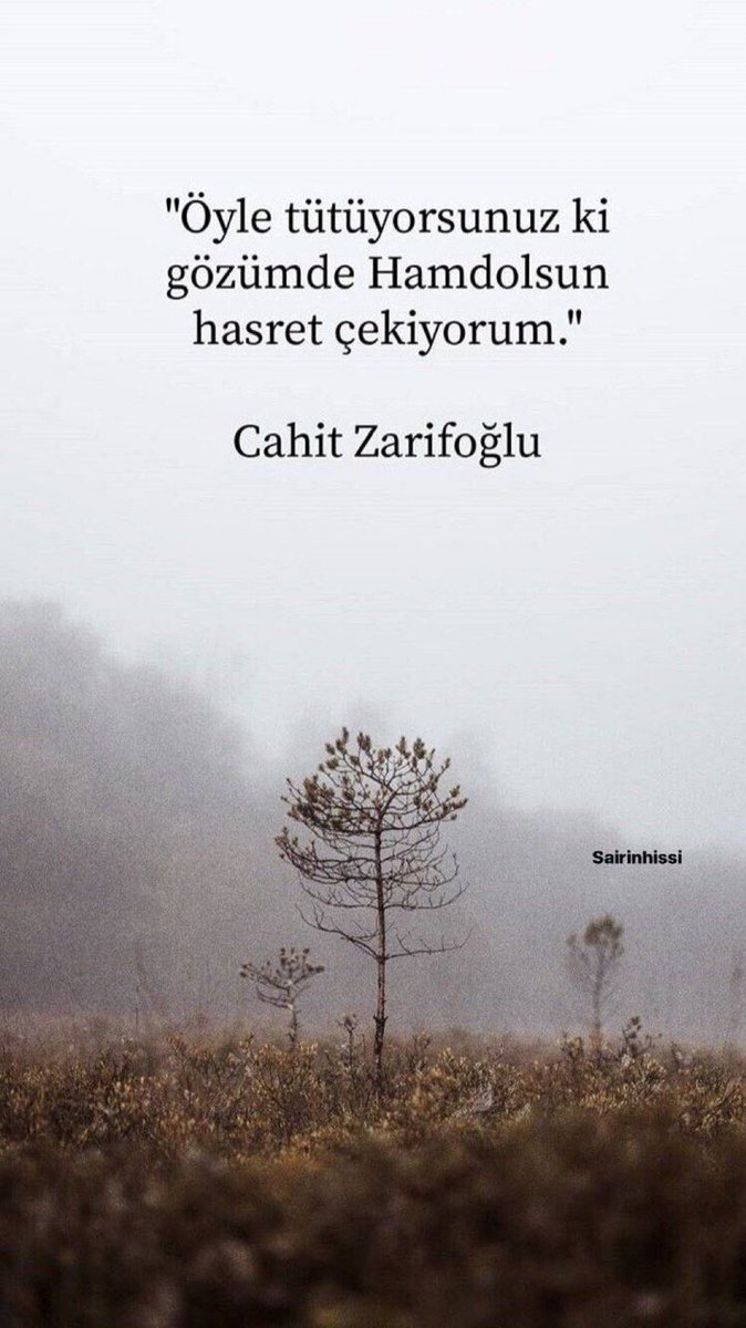 Öyle tütüyorsunuz ki gözümde 
Hamdolsun hasret çekiyorum.

Cahit Zarifoğlu