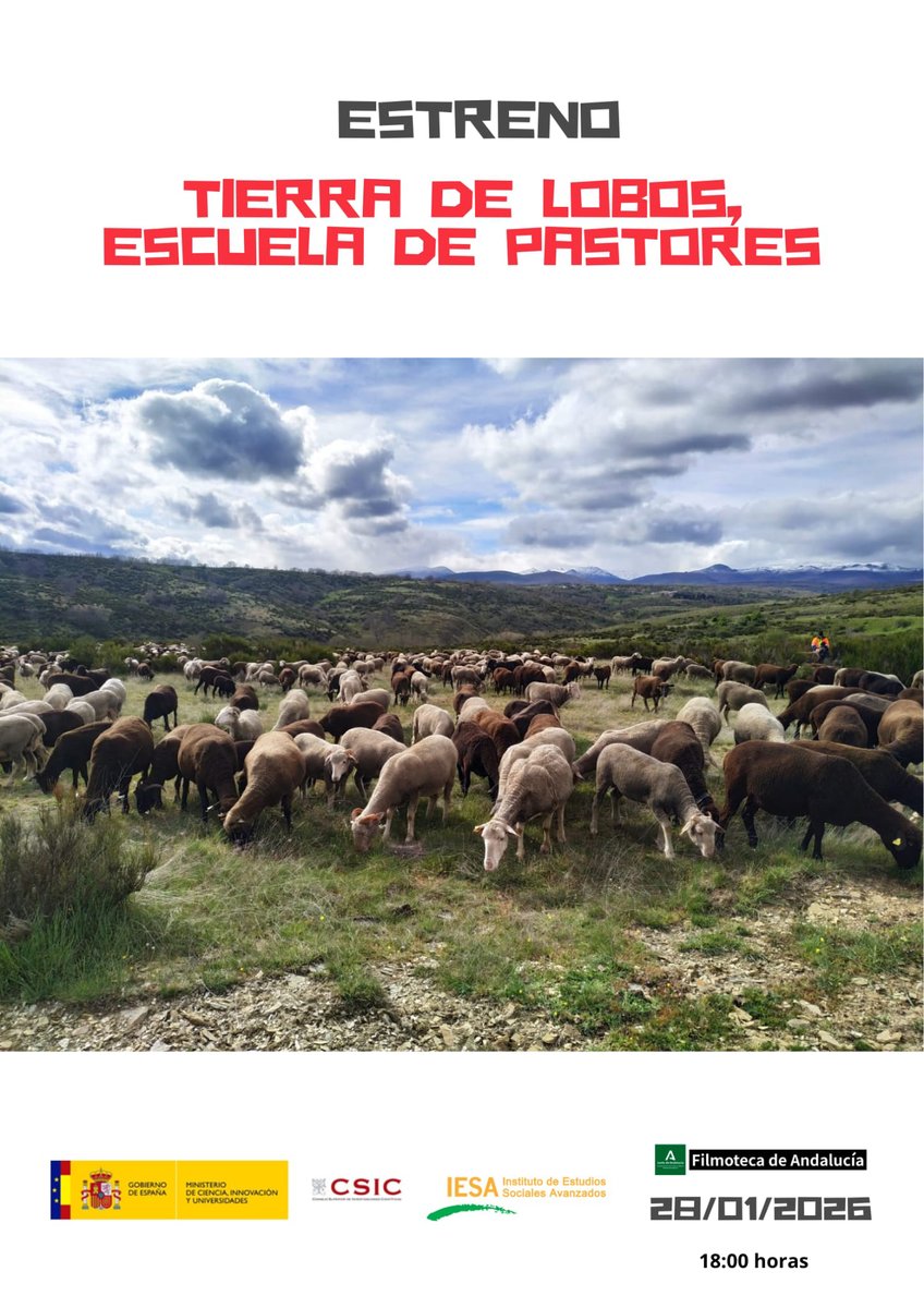 Mañana se estrena "Tierra de lobos, escuela de pastores", un documental basado en un estudio desarrollado por científicos de diversos centros de investigación y liderado por <a href="/iesa_csic/">IESA CSIC</a>.

📅 28 de enero a las 18h
📍 Filmoteca de Andalucía de #Córdoba
