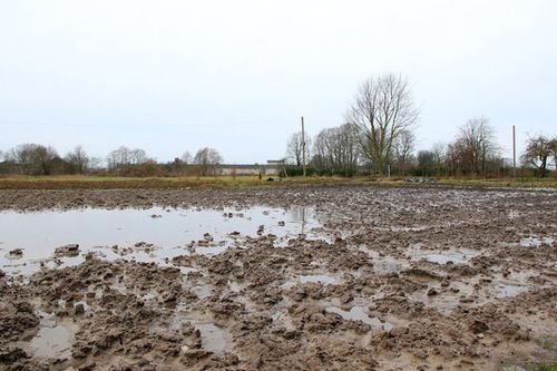 the mcdiarmid pitch by saturday morning