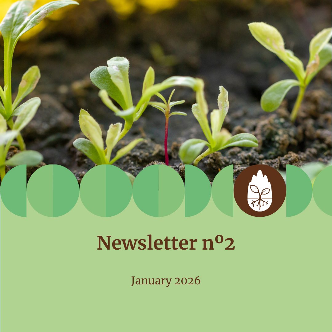 SUS-SOIL tweet media