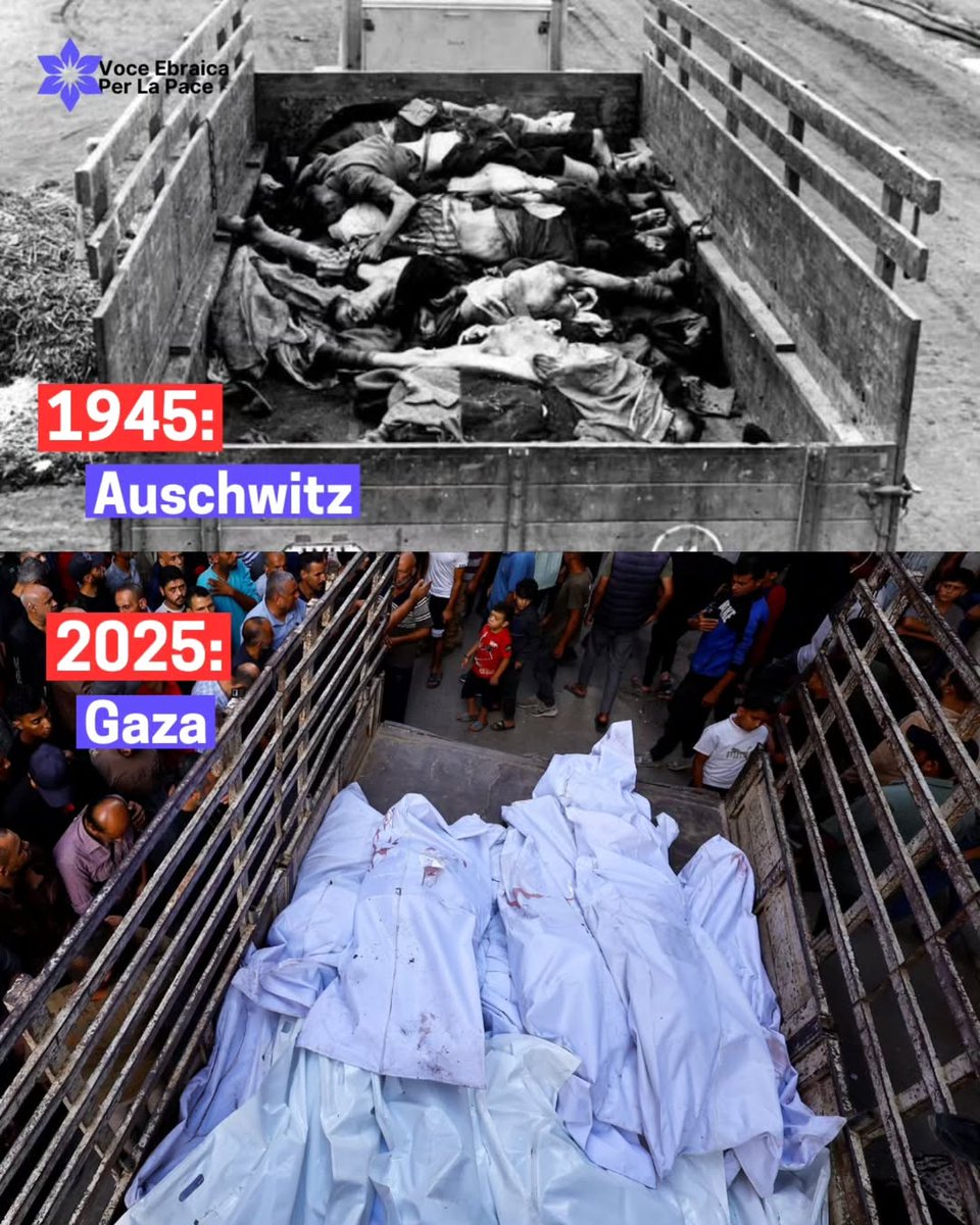 Cara Liliana Segre, nessuno dotato di un minimo di intelligenza o di buon senso strumentalizza Gaza per sminuire l'olocausto. L'orrore della della Shoah è una ferita per l'umanità. Vederla riaprire in maniera così netta ed evidente da Israele è una pugnalata vigliacca alla storia