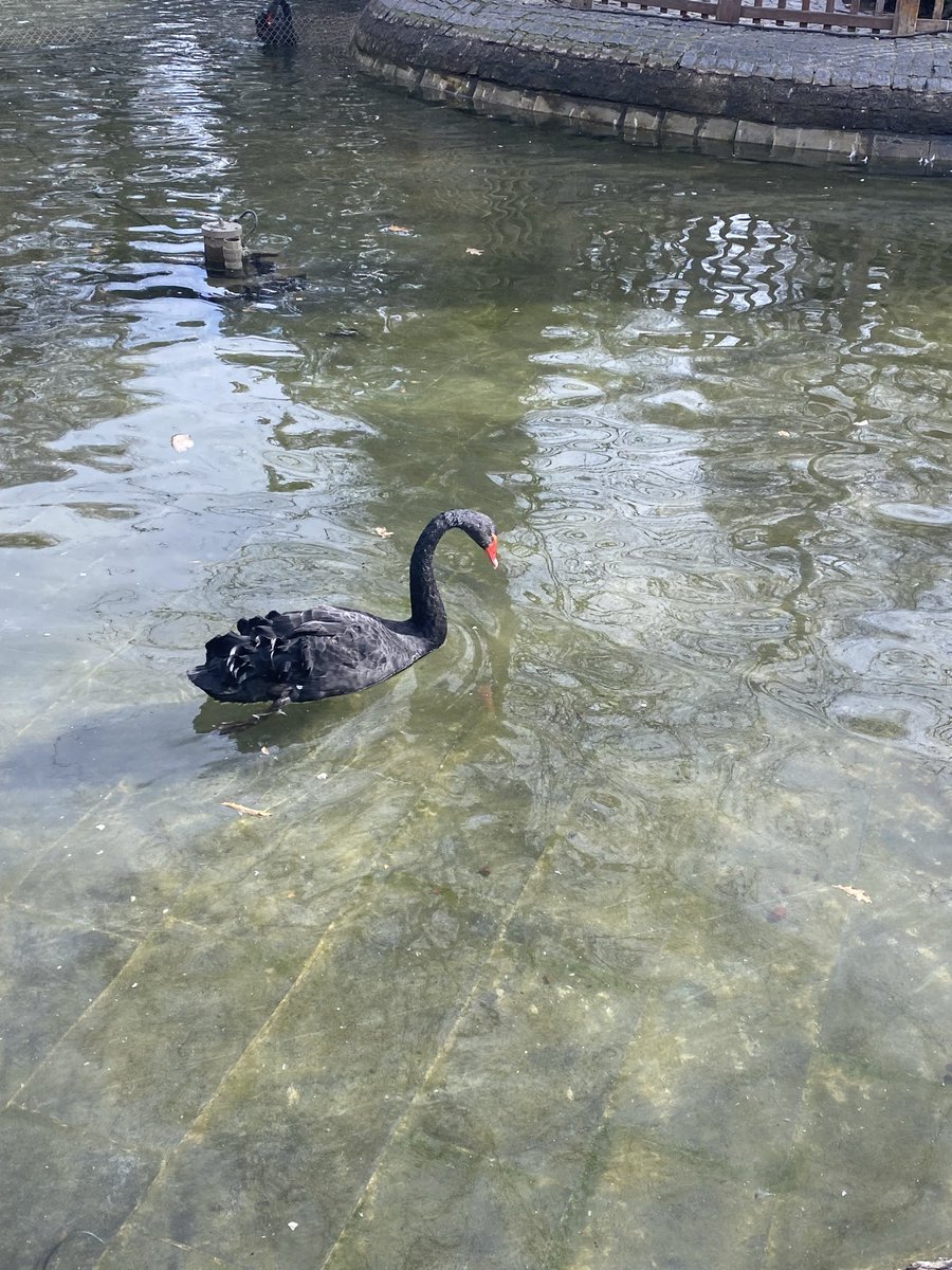 Natalie Portman is that u ?