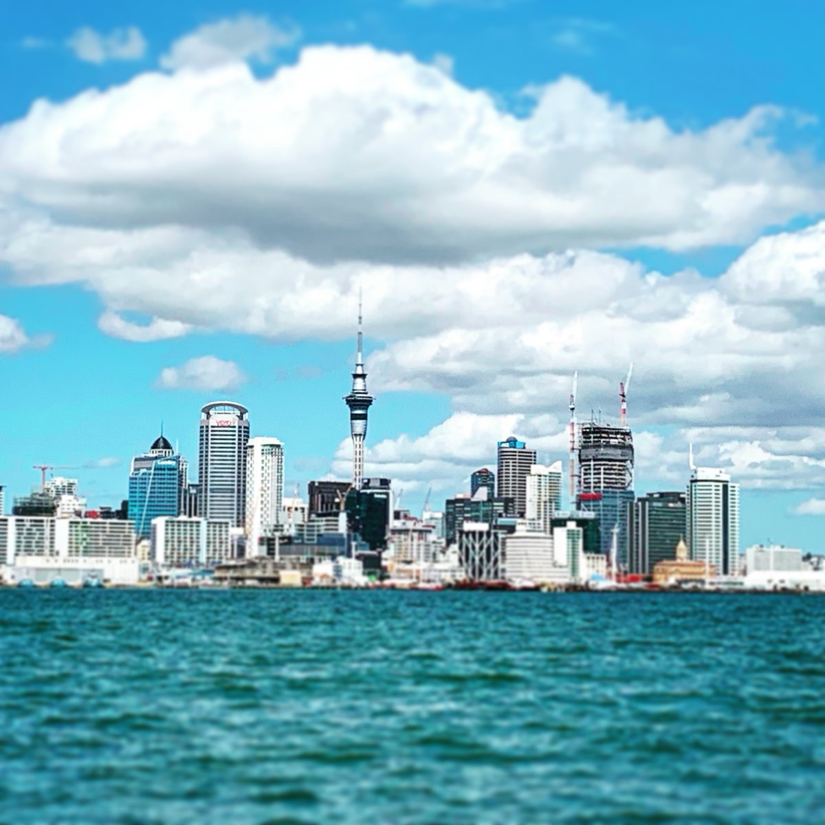 Still Air tweet media