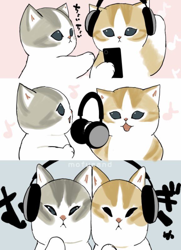 Post by ぢゅの🐈 on X: 仲良し♪