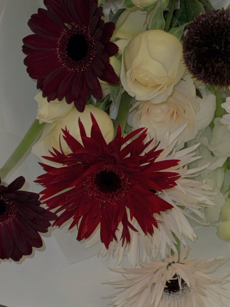 내 연상녀 생일 🅷🅱🅳 ᕷ˖°☀︎˚₊✩‧₊