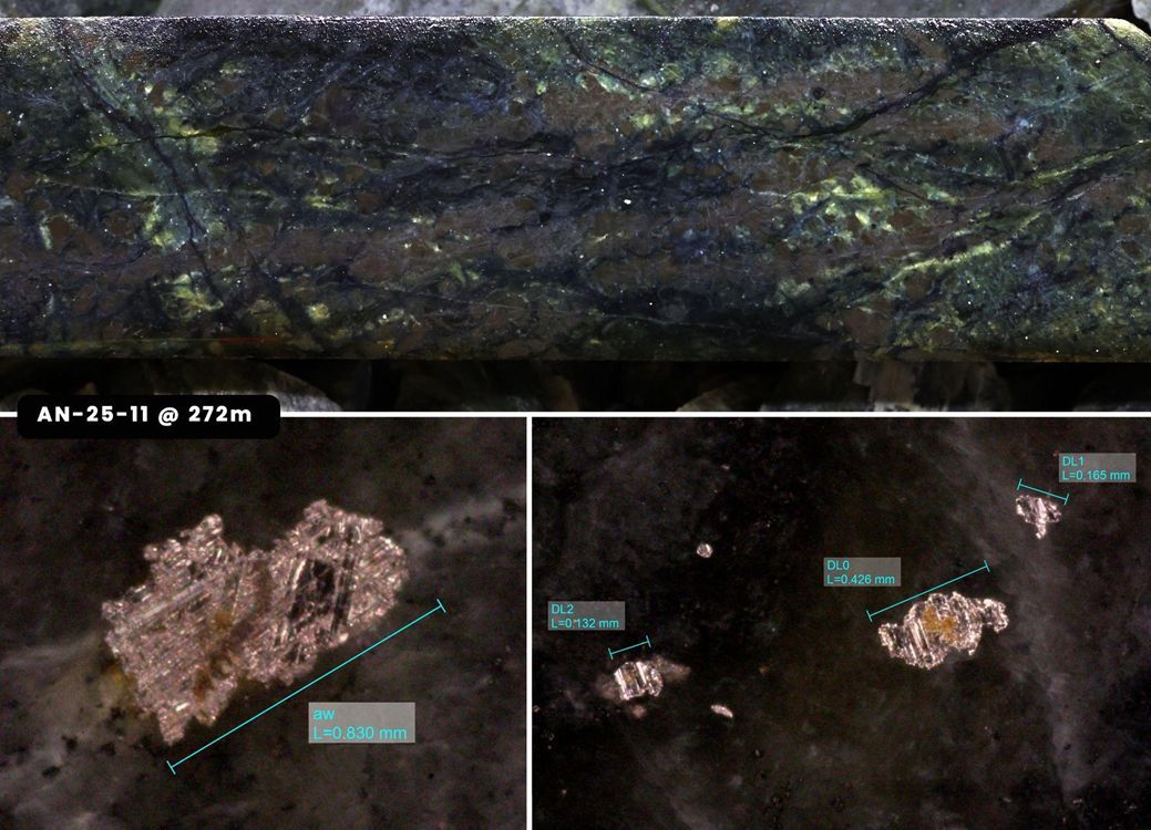 First Atlantic Nickel tweet media