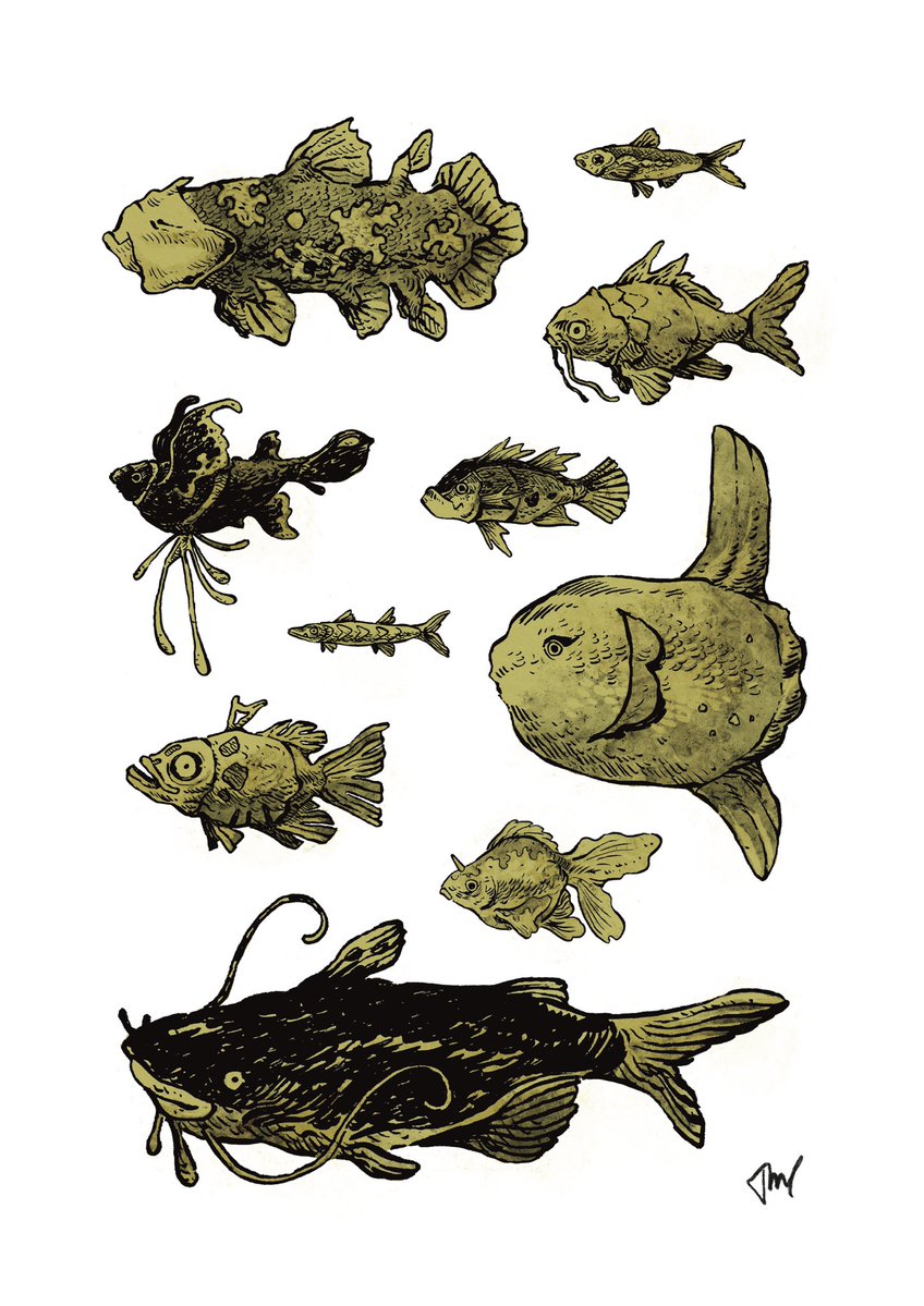 M0BICAL's tweet image. Just some fish #pokemon