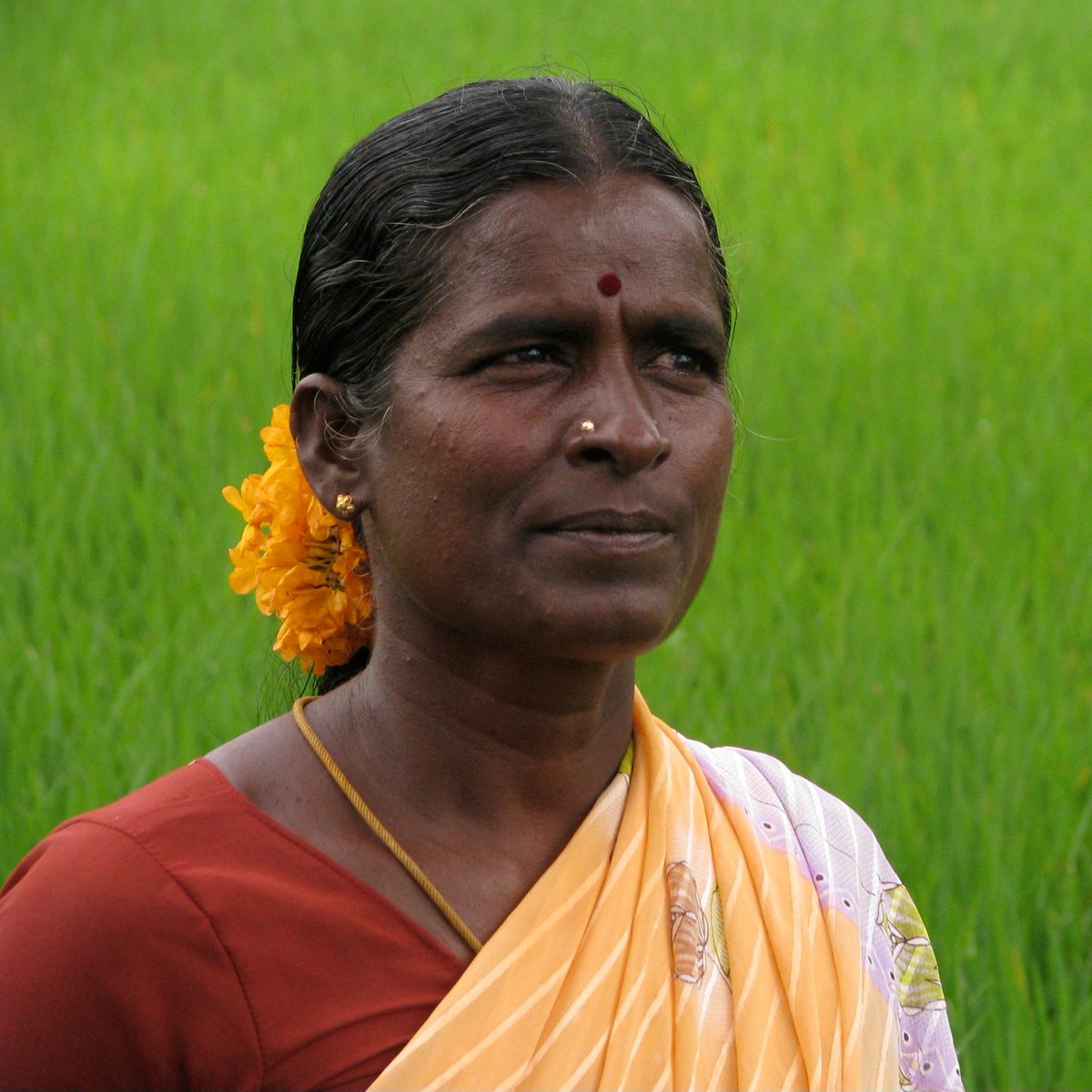 The fact that they are trying to replace this with this should radicalise you beyond anything