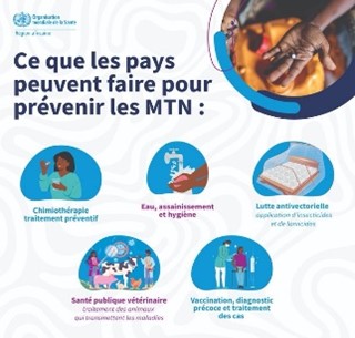 Chaque action contre les #MaladiesTropicalesNégligées compte ! 
 
Pour protéger les générations futures, voici ce que les gouvernements peuvent faire. 

Il est temps d’agir ! #VaincrelesMTN