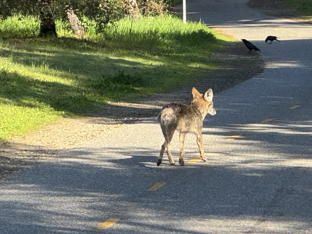 Jeffrey Weichsel tweet media