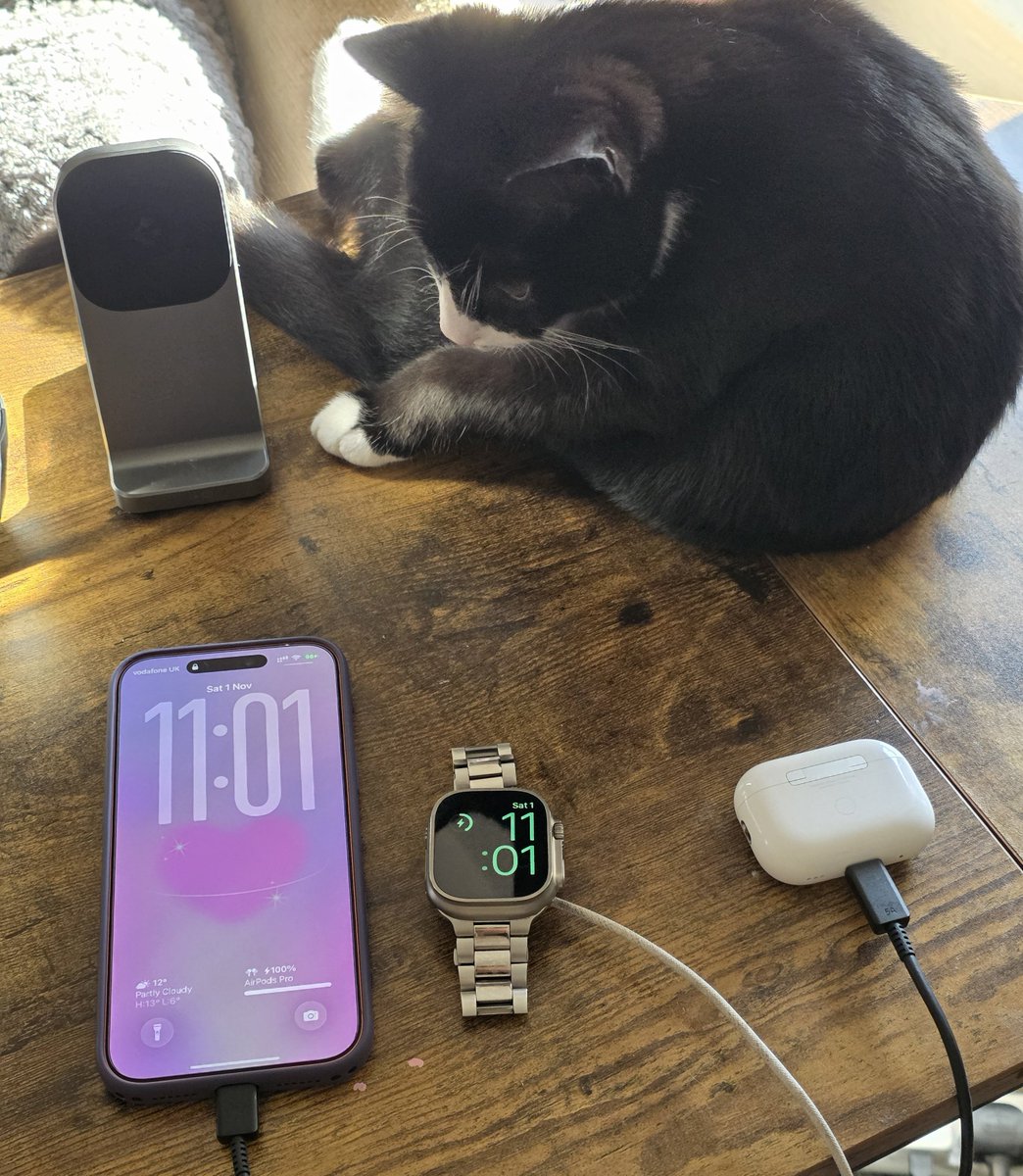 he guards my apple ecosystem