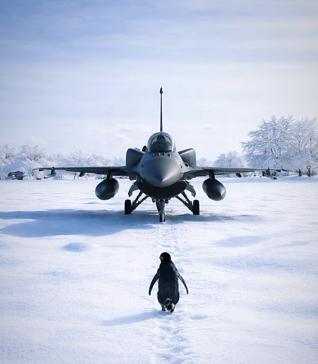 Sana çıkıyor hep yollar