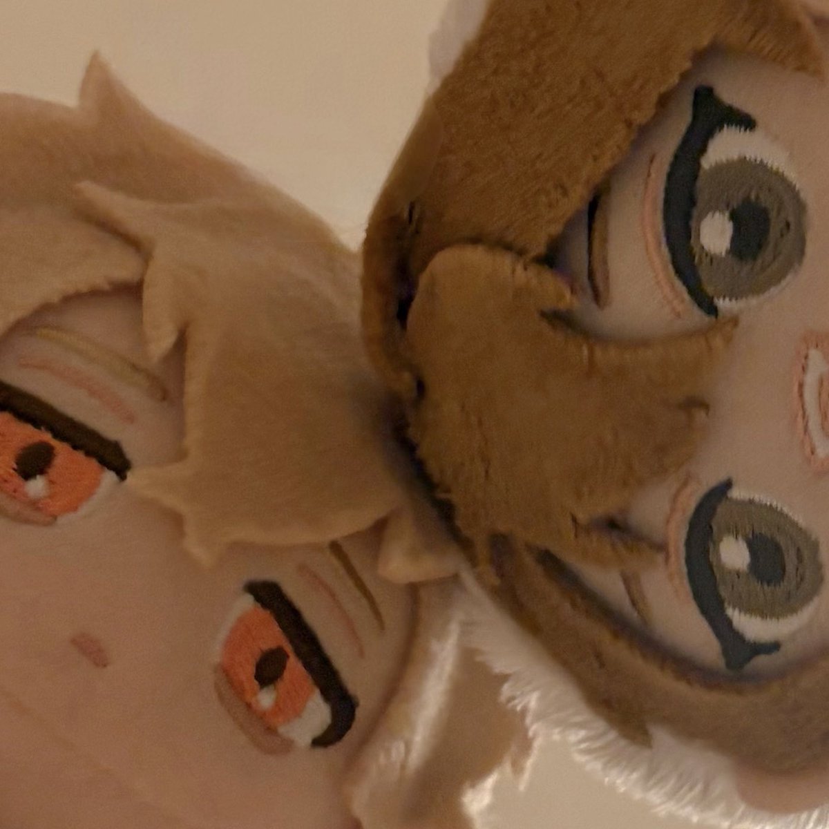 しろい (@shiro_iiii) on Twitter photo 