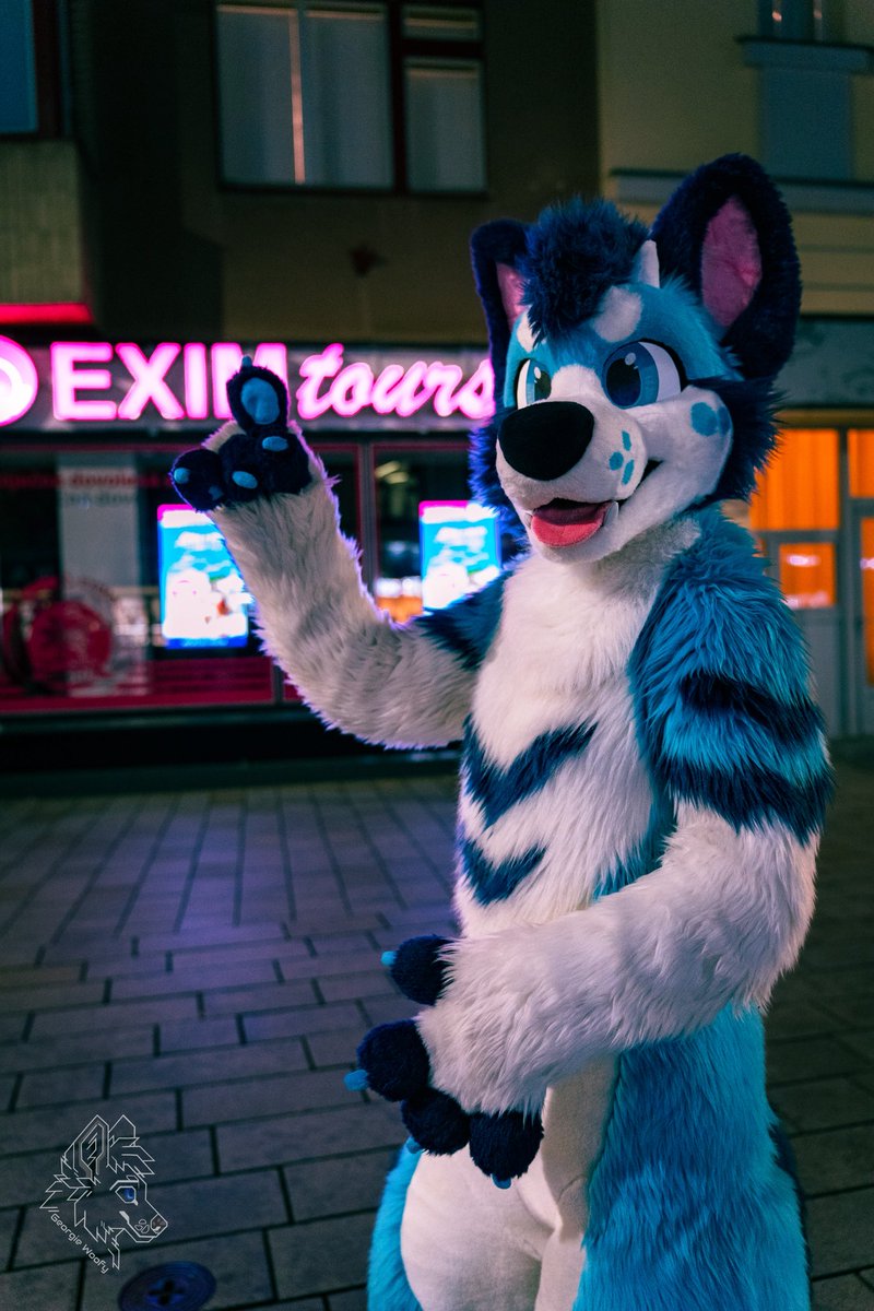 Exi 🔜 CeSFuR, Awoostria tweet media