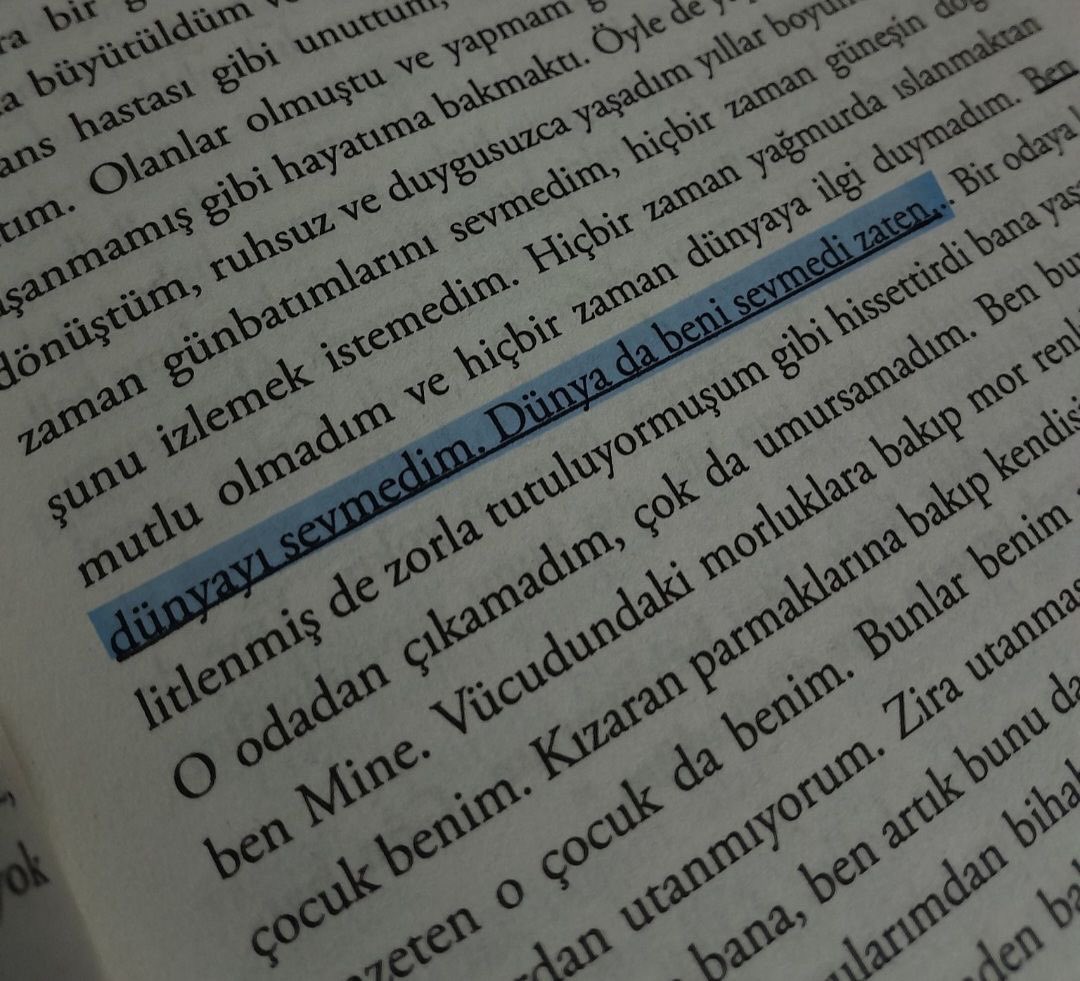 "Dünyayı sevmedim
dünya da beni sevmedi zaten"