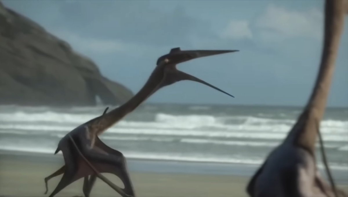 Saurian Target tweet media