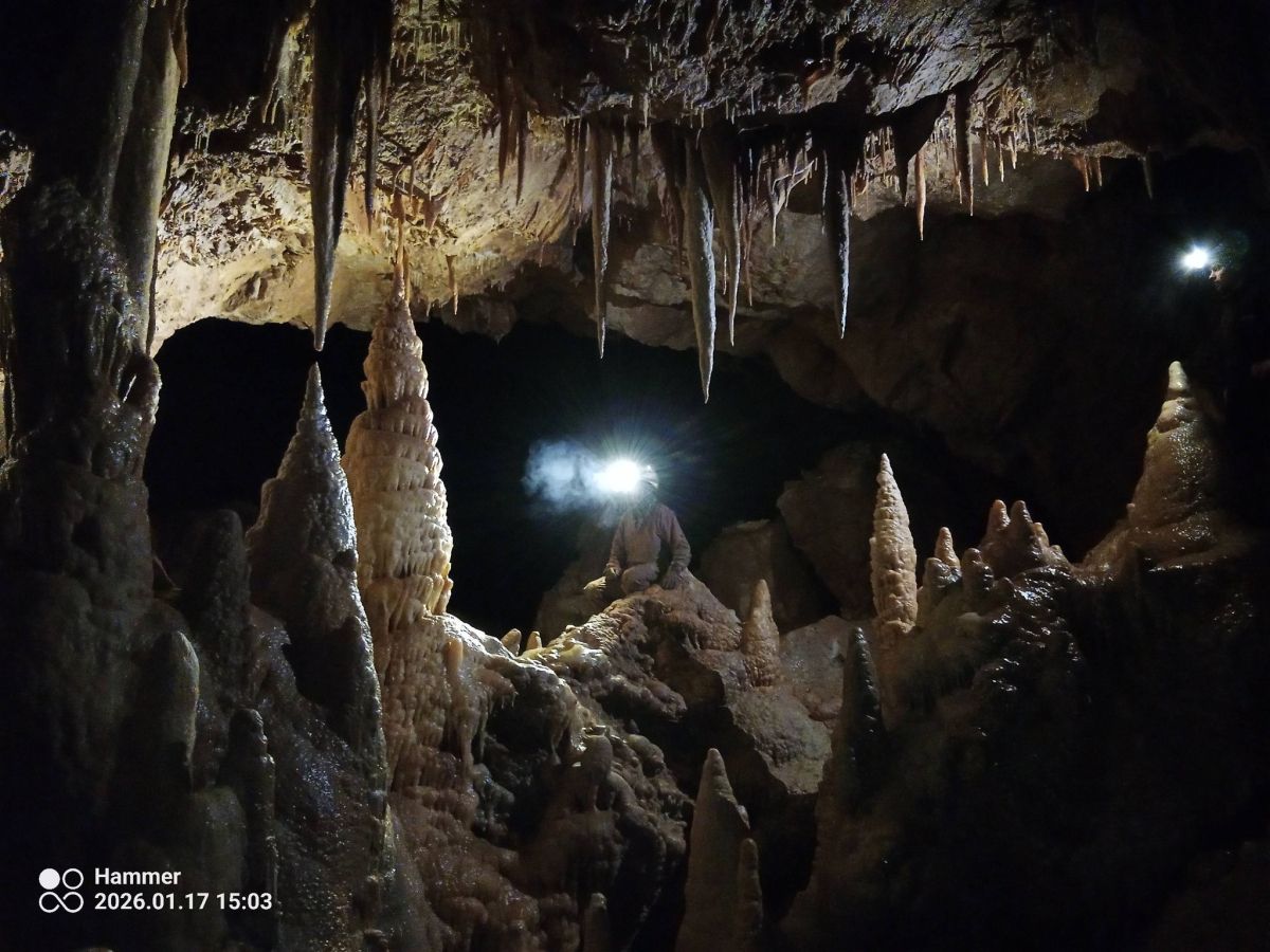 Zgodovinski preboij v Gorjancih: Odkrili verjetno največji podzemni sistem jam na Dolenjskem s kapniki

dolenjskilist.svet24.si/novice/podzemn…